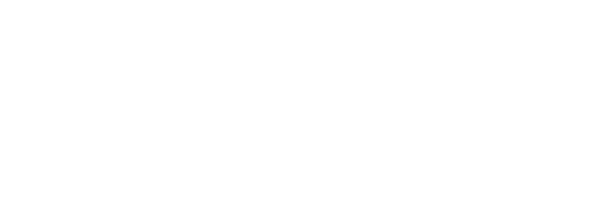 NEC Projektör Tamiri